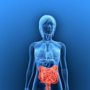 Colitis related image
